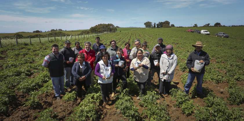 Gestión ante la sequía, modernización y nuevos mercados para la pequeña agricultura destacan en cuenta pública de Indap 2019