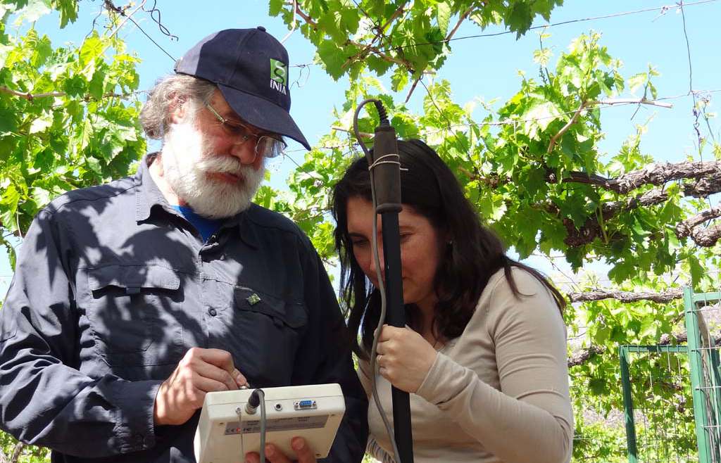 Doctor Gabriel Sellés, INIA: “La fruticultura protegida es todo un mundo que se nos abre”