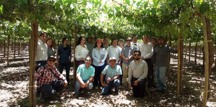 Día de Campo a Huerto Tecnológico efectuó PER Frutícola