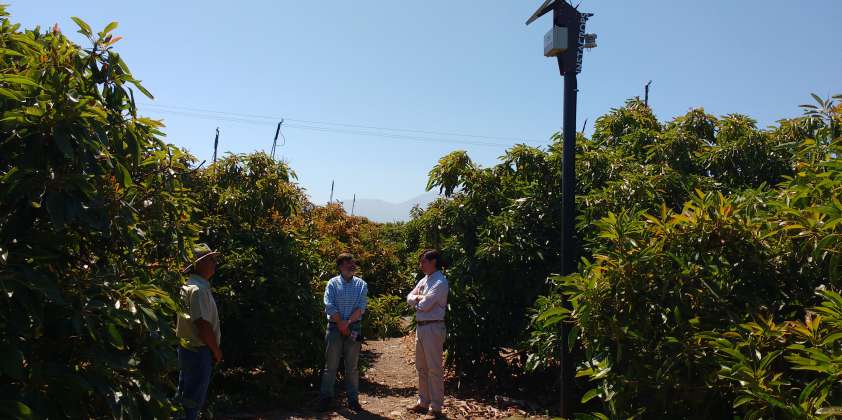 Región de Valparaíso toma la vanguardia en el desarrollo sustentable de la fruticultura