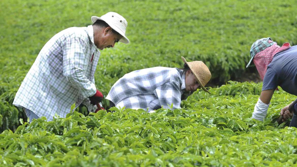 Taller este 9 de agosto: “Jornada de información y sensibilización del programa PER Fruticultura Sustentable: reforzando el capital social en la comunidad de productores”