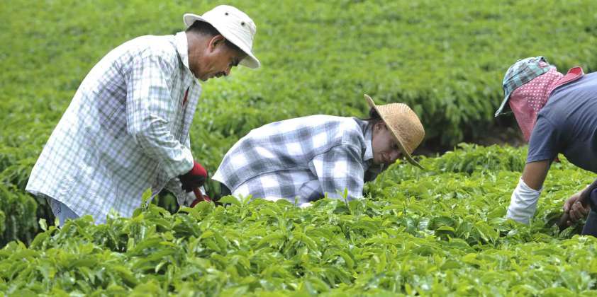 Taller este 9 de agosto: “Jornada de información y sensibilización del programa PER Fruticultura Sustentable: reforzando el capital social en la comunidad de productores”