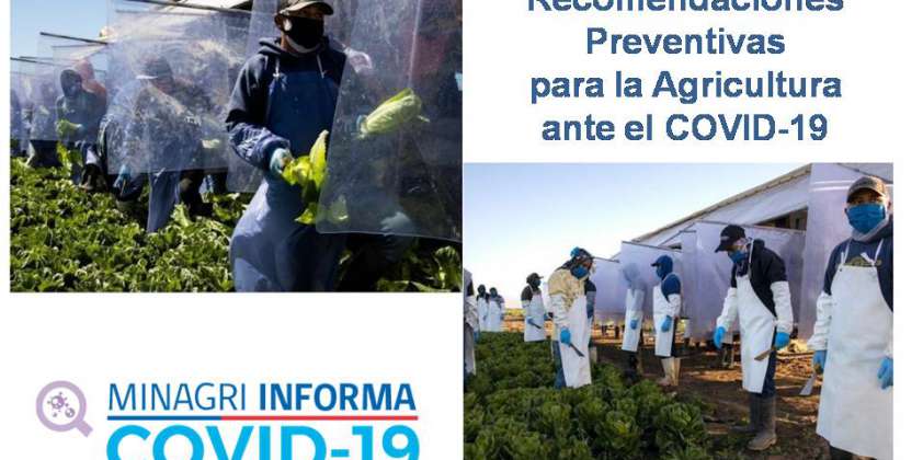 Recomendaciones Preventivas para el Sector Agrícola ante el Covid-19