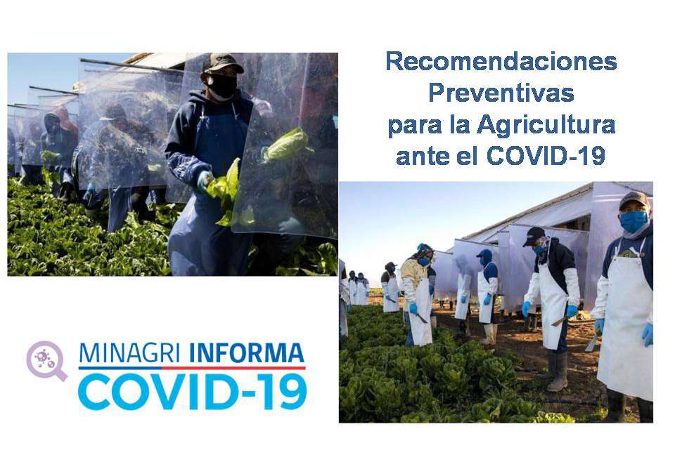 Recomendaciones Preventivas para el Sector Agrícola ante el Covid-19