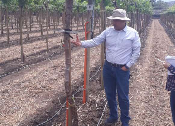 Difundirán beneficios de tecnologías sustentables a pequeños y medianos agricultores