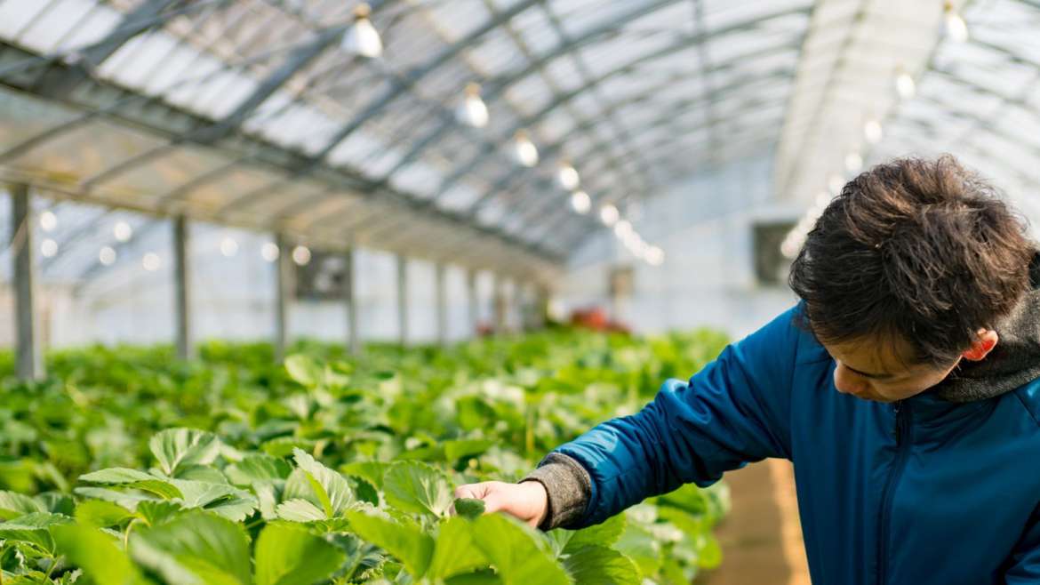 Instituciones educacionales y SENCE se coordinan para fortalecer la Empleabilidad y el Emprendimiento agrícola