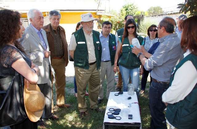 Buscan controlar la Lobesia botrana en zonas urbanas usando enemigo natural de la plaga