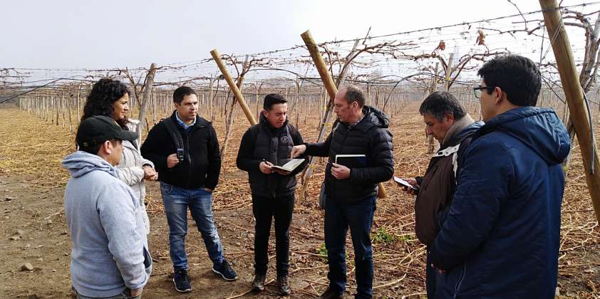 Comitiva de Nueva Zelandia e Israel visita a Grupo Asociativo “Mi Fruta” en San Esteban