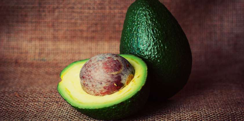 Palta: qué están demandando los mercados y cómo conseguir mayor rendimiento