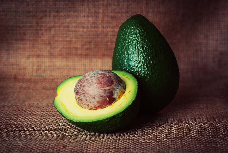 Palta: qué están demandando los mercados y cómo conseguir mayor rendimiento