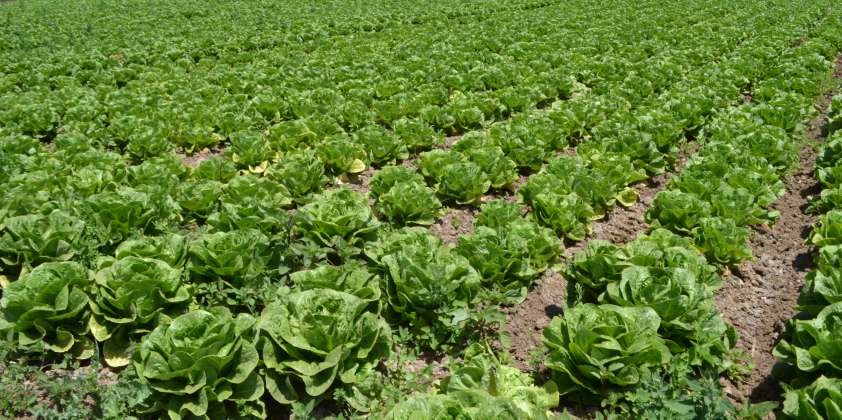 Coordinador Zonal Valparaíso de la CNR invita a agricultores a postular a nuevo concurso de pozos para regiones con emergencia hídrica