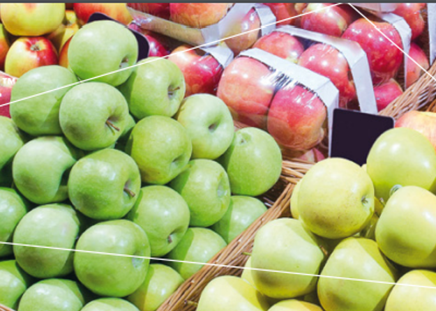 Seminario de Inocuidad aplicado a la Industria de Frutas y Hortalizas