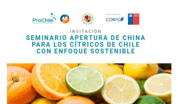 Apertura de China a cítricos chilenos: Seminario abordará qué oportunidades ofrece a las empresas productoras y exportadoras de la región