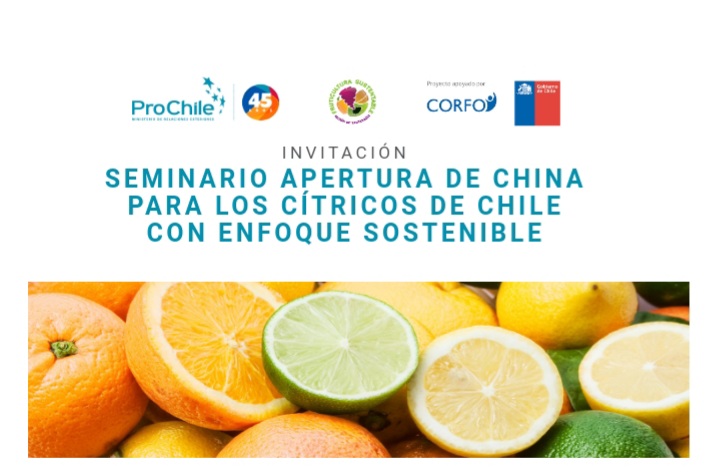 Apertura de China a cítricos chilenos: Seminario abordará qué oportunidades ofrece a las empresas productoras y exportadoras de la región