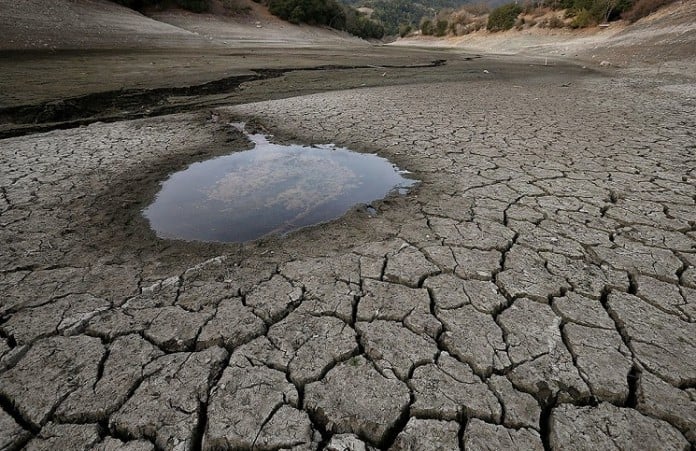 Boletín PERFRUTS Junio 2020: Sequía: desafío pendiente