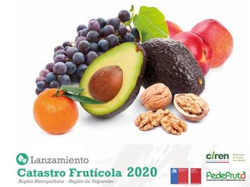 CIREN lanzará Catastro Frutícola de las Regiones Metropolitana y Valparaíso