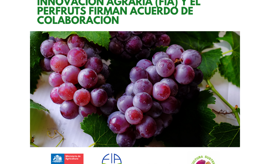 FIA y PERFRUTS firman acuerdo de colaboración