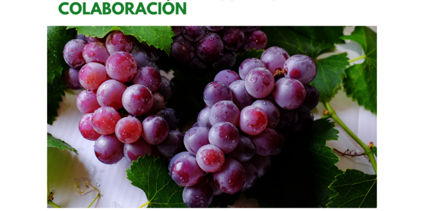 FIA y PERFRUTS firman acuerdo de colaboración