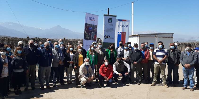 AUTORIDADES LANZAN PROGRAMA PAR UVA DE MESA  PARA PRODUCTORES DE LAS COMUNAS DE LOS ANDES Y SAN FELIPE