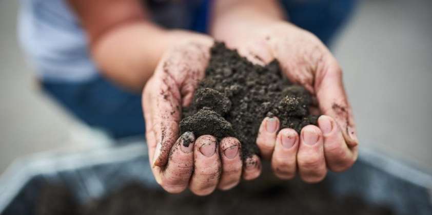 Cómo adaptarse a la salinidad en una fruticultura sustentable?