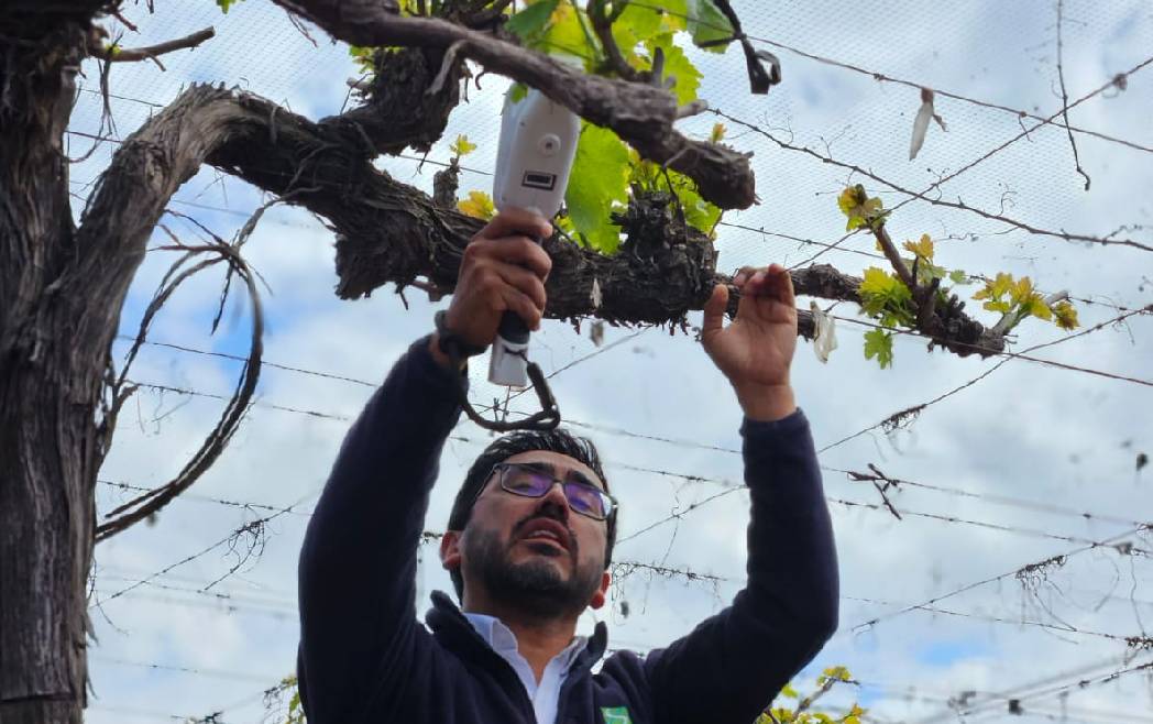 Promueven sustentabilidad e innovación tecnológica en métodos productivos de agricultores del Valle del Aconcagua