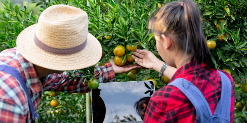 Reconversión productiva y recambio generacional: ¿Qué significan y por qué son esenciales para el futuro de la agricultura en la Región de Valparaíso?   