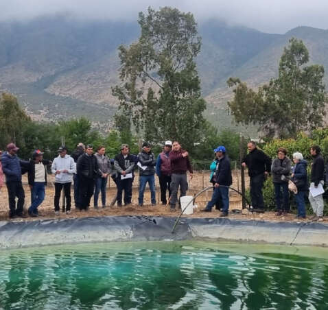 Programas CORFO refuerzan acciones orientadas a capacitar a productores sobre mantención de Sistemas de Riego Tecnificado para asegurar eficiencia en el uso de agua